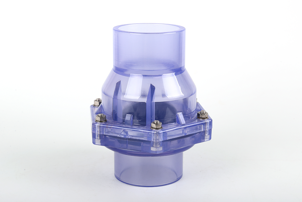 宝山透明翻板式止回阀